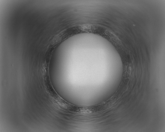 X0000069810702200606021505