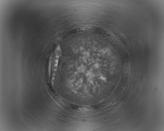 X0000069810703200606021505