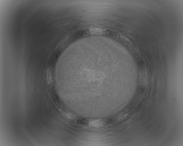 X0000069810705200606021505