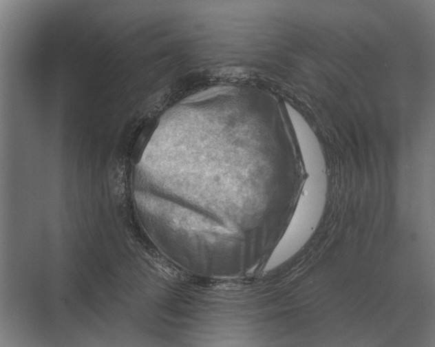 X0000069810708200606021505