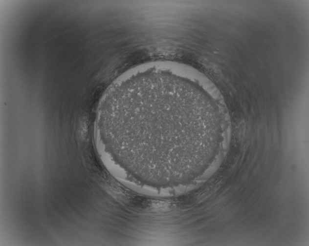 X0000069810709200606021505