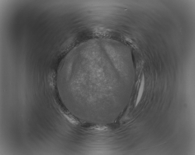 X0000069810712200606021505