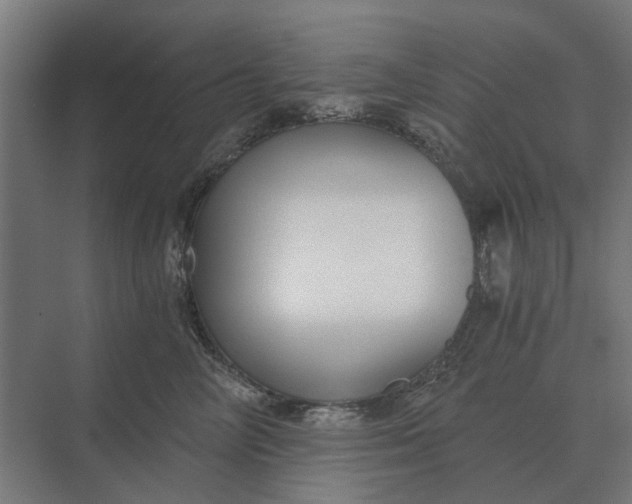 X0000069810714200606021505