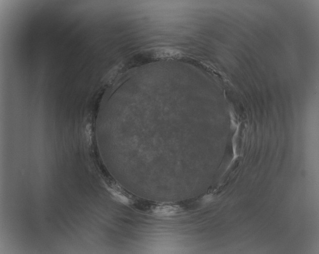 X0000069810716200606021505