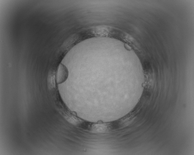 X0000069810717200606021505