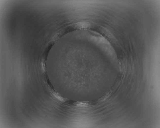 X0000069810718200606021505