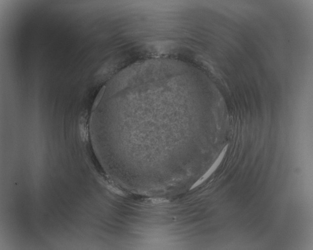 X0000069810719200606021505