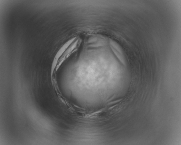 X0000069810720200606021505