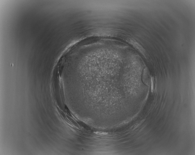 X0000069810723200606021504