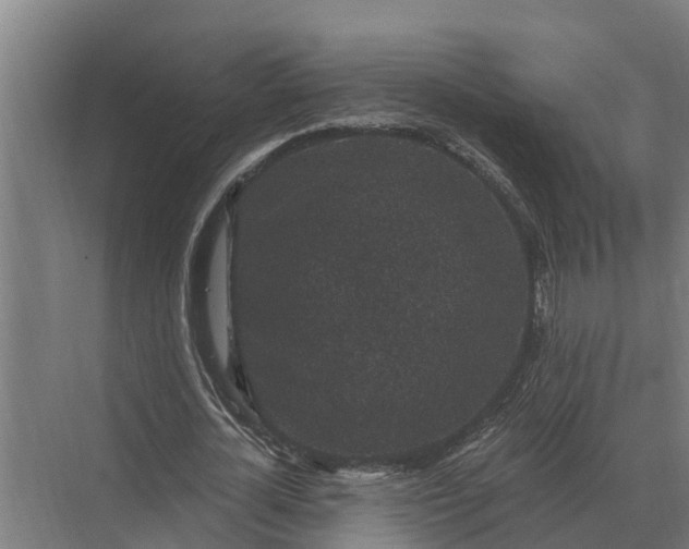 X0000069810724200606021504