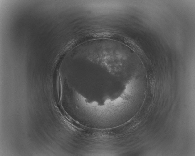 X0000069810729200606021504