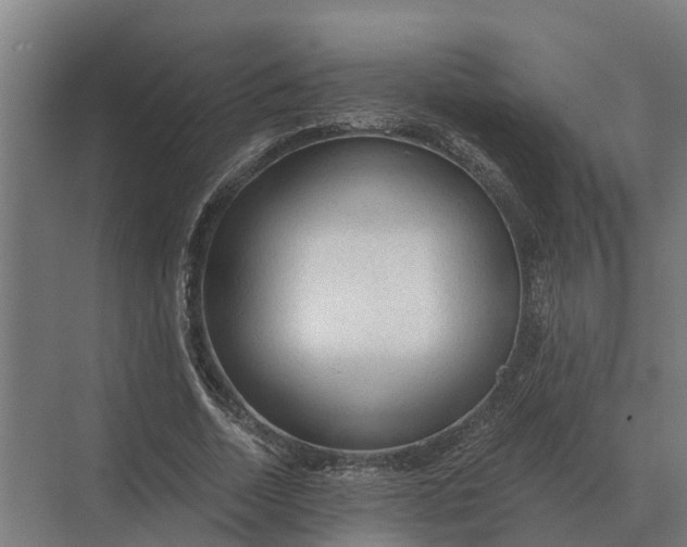 X0000069810730200606021504