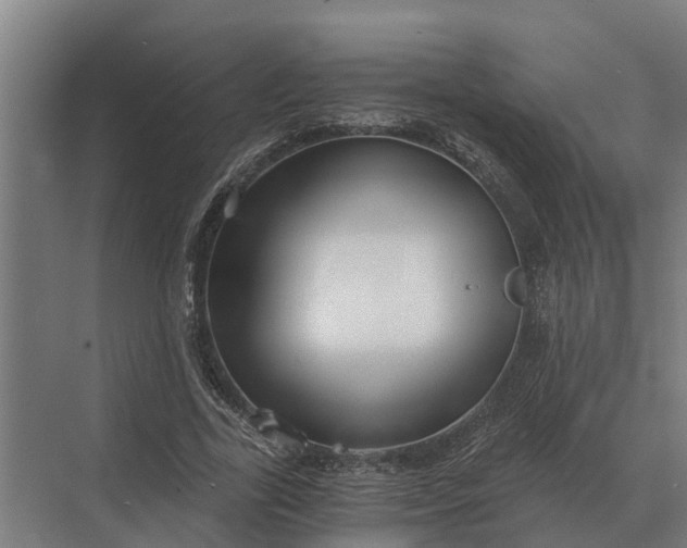 X0000069810731200606021504