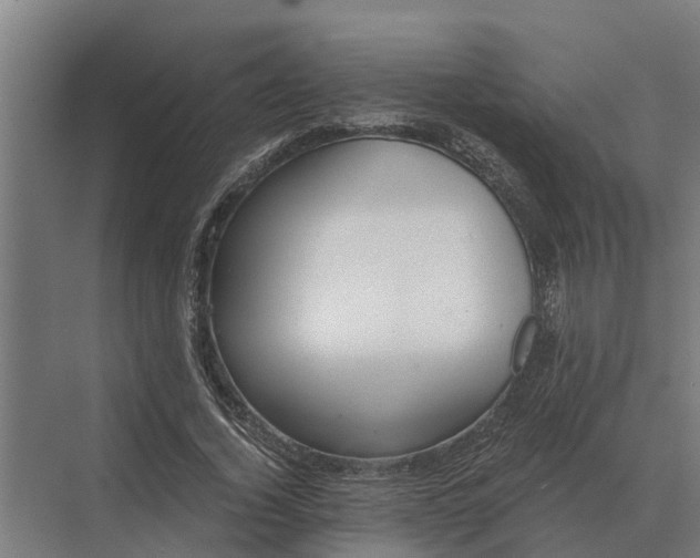 X0000069810732200606021504