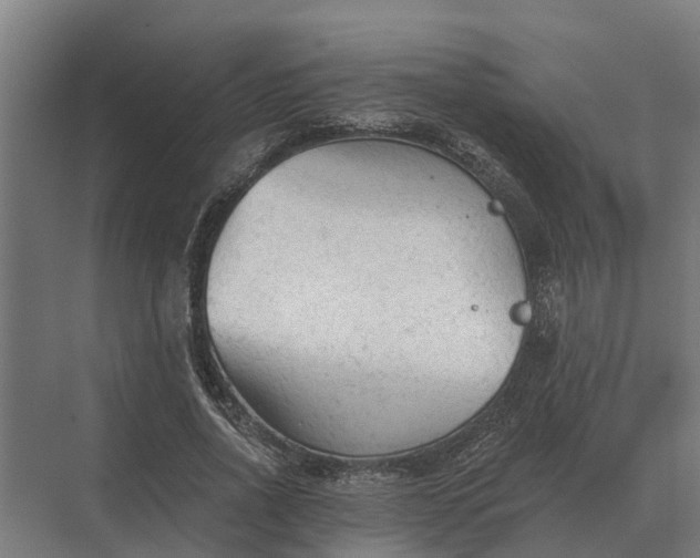 X0000069810734200606021504