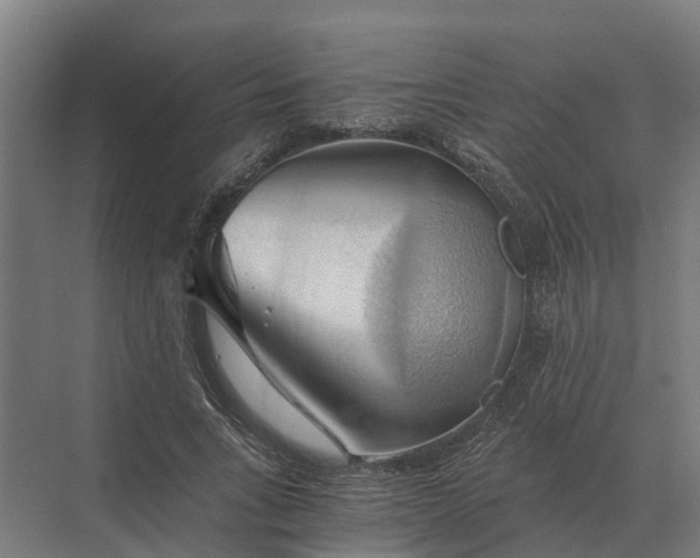 X0000069810735200606021504