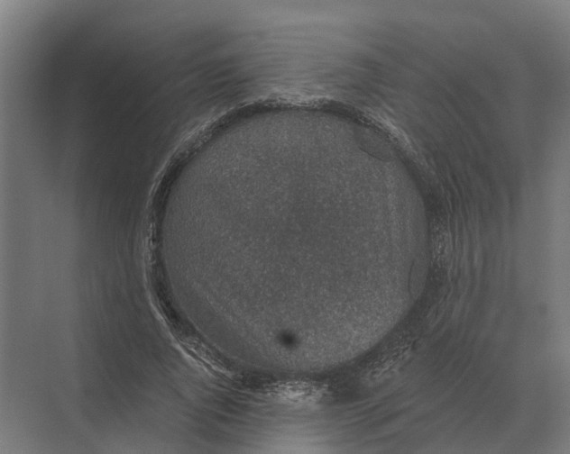 X0000069810736200606021504