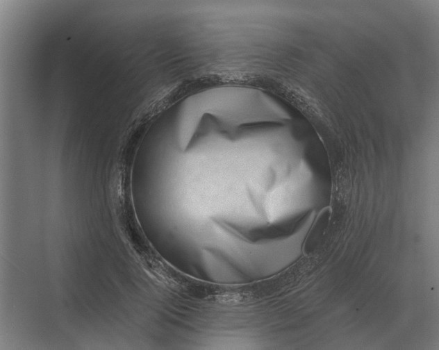 X0000069810740200606021504