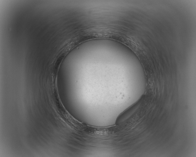 X0000069810744200606021505