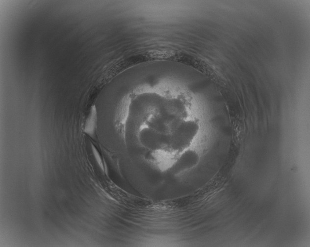 X0000069810745200606021505