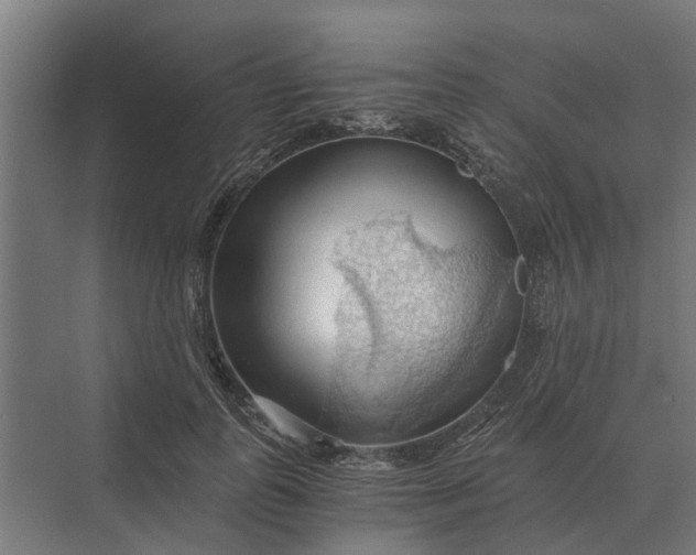 X0000069810747200606021505