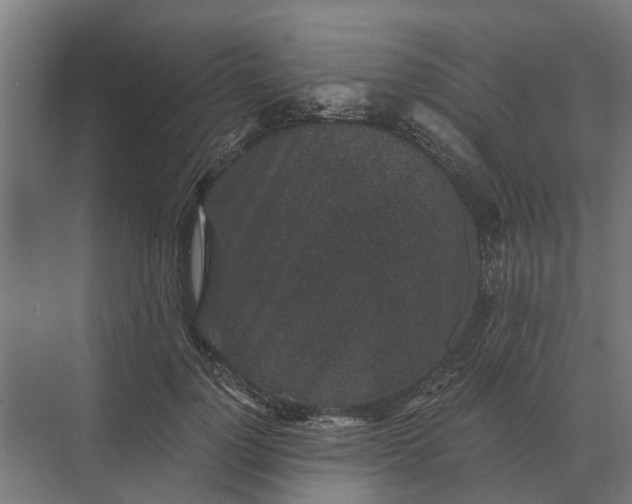 X0000069810748200606021505