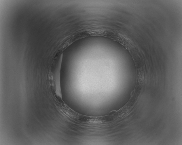 X0000069810749200606021505