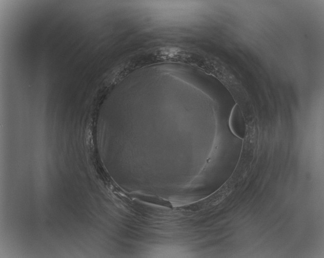 X0000069810754200606021505