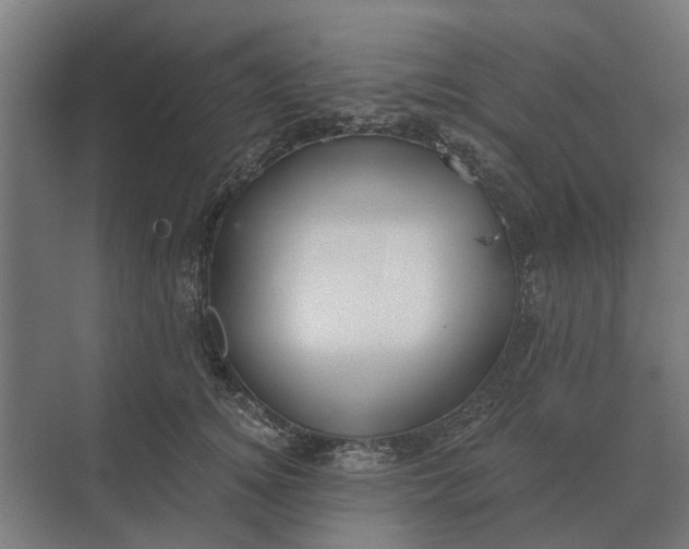 X0000069810756200606021505