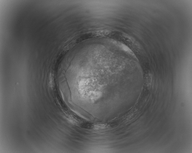 X0000069810757200606021505