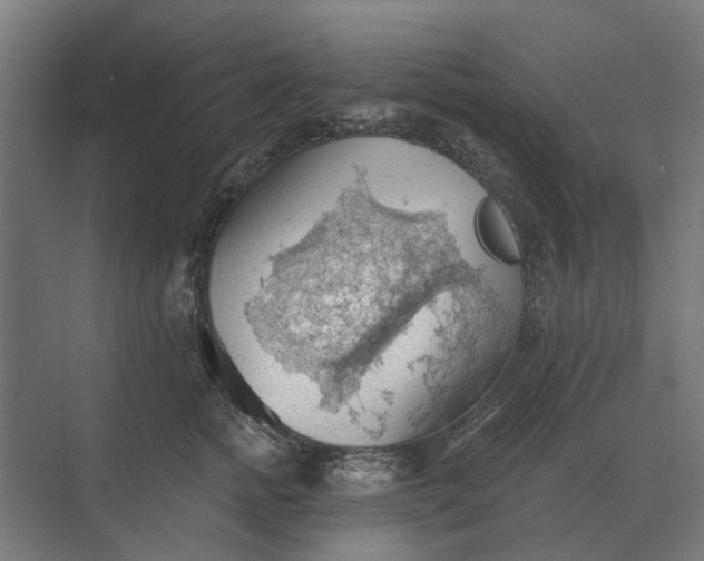 X0000069810758200606021505