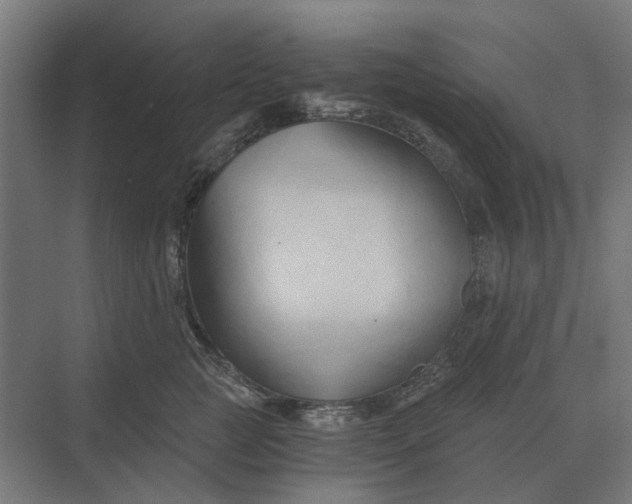 X0000069810761200606021505