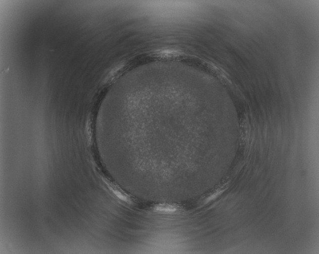 X0000069810762200606021505