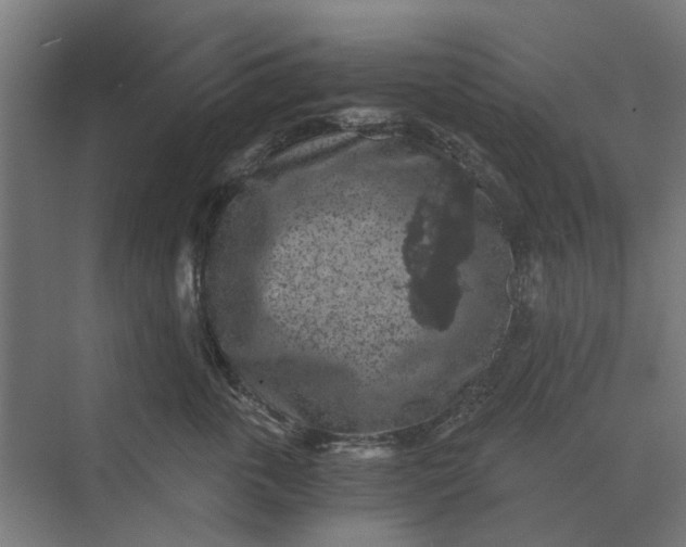 X0000069810763200606021505