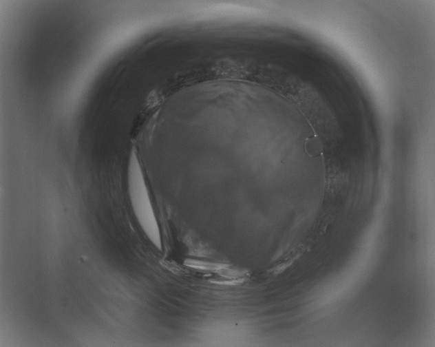 X0000069810765200606021505