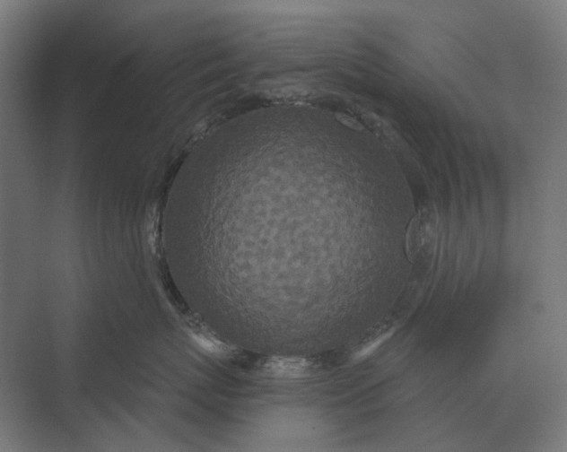 X0000069810767200606021505