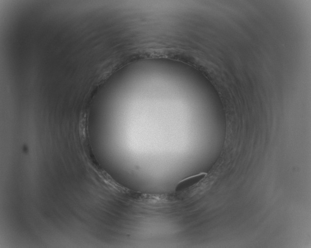 X0000069810768200606021505