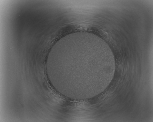 X0000069810769200606021504