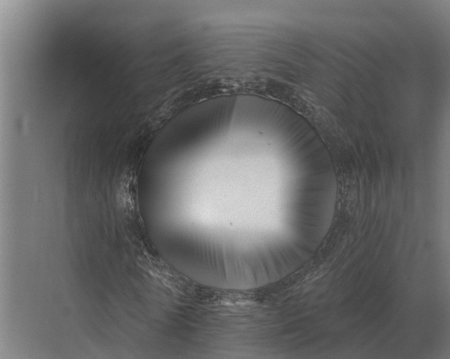 X0000069810770200606021504