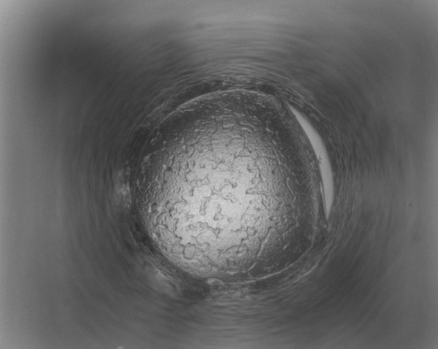 X0000069810771200606021504