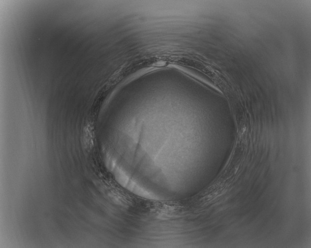 X0000069810772200606021504