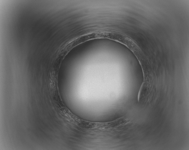 X0000069810773200606021504