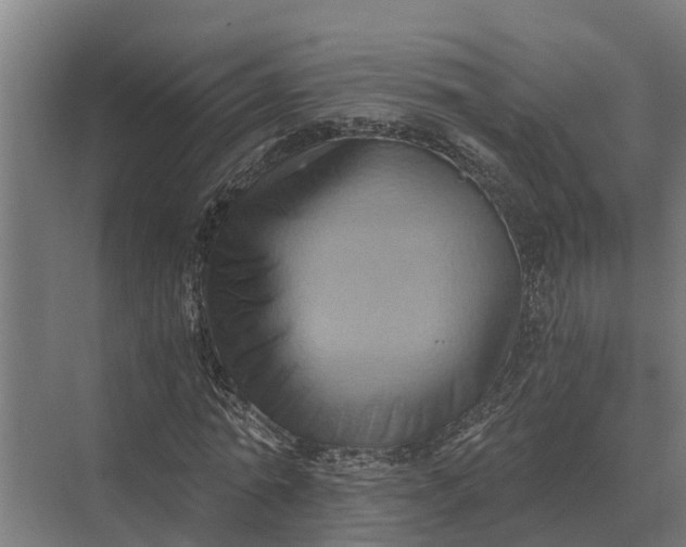 X0000069810774200606021504