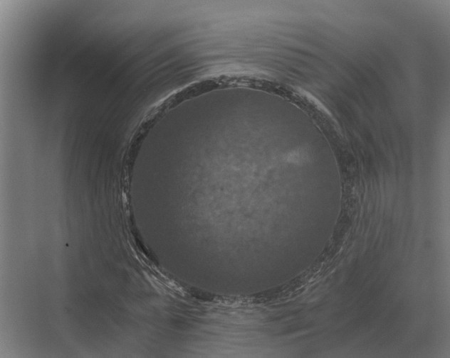 X0000069810775200606021504