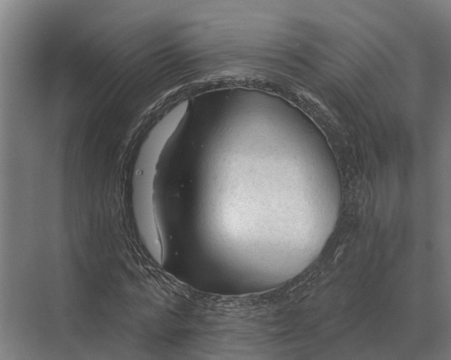 X0000069810776200606021504