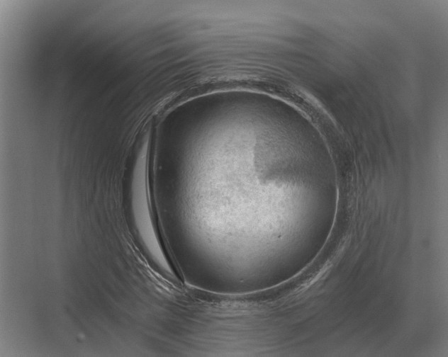 X0000069810777200606021504