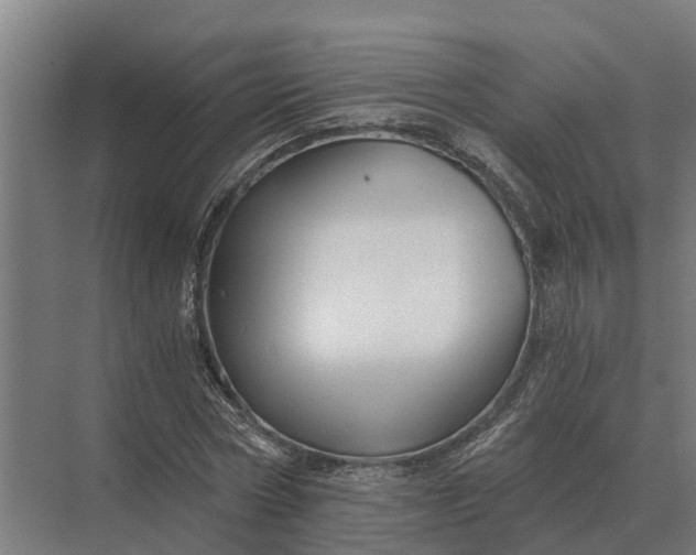 X0000069810778200606021504