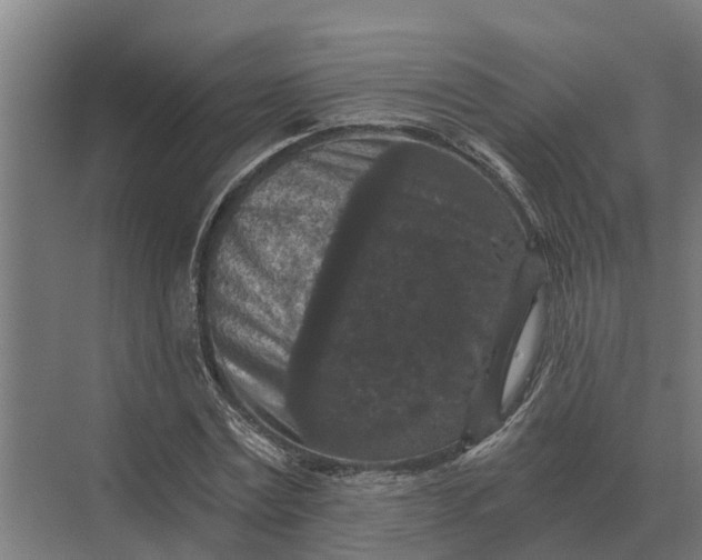 X0000069810779200606021504