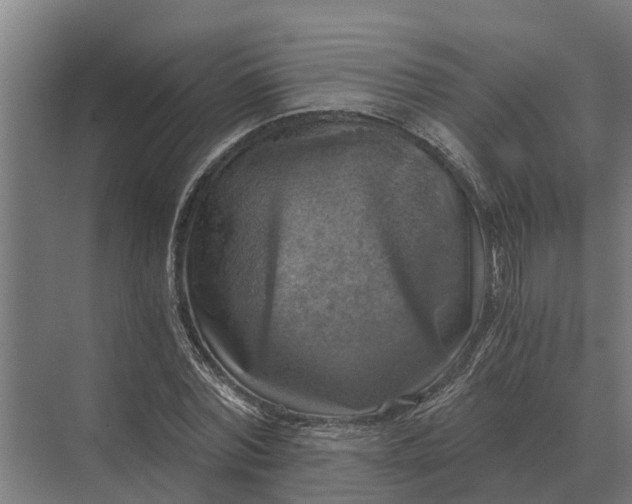 X0000069810780200606021504