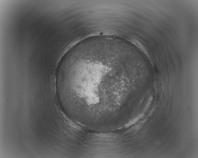 X0000069810781200606021504